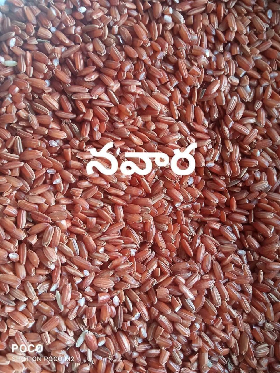 Navara Rice