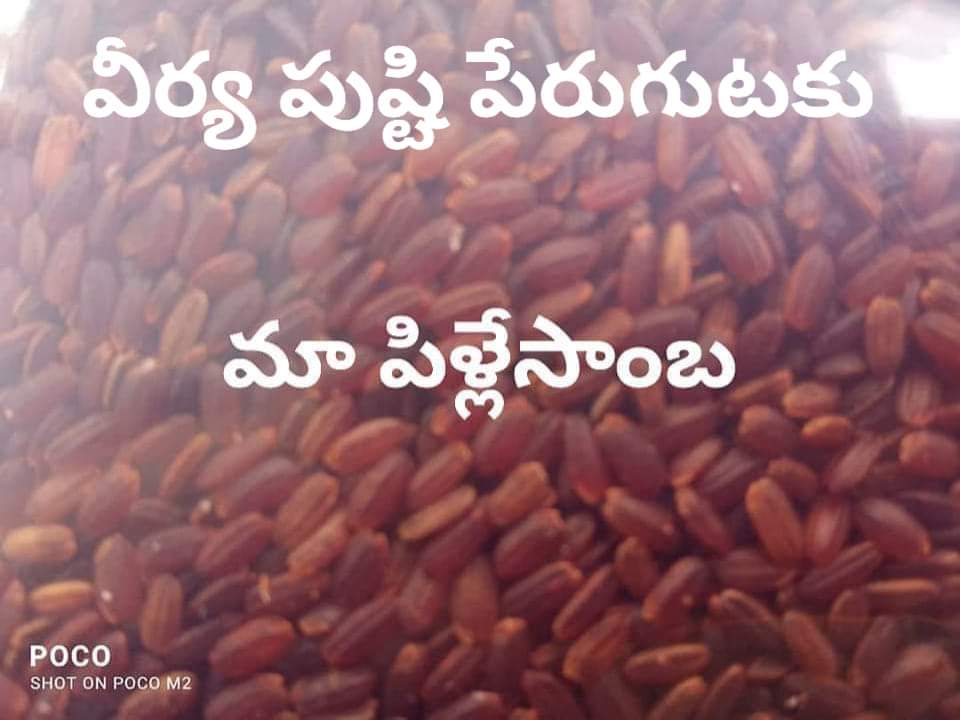 Karuppu Kavuni