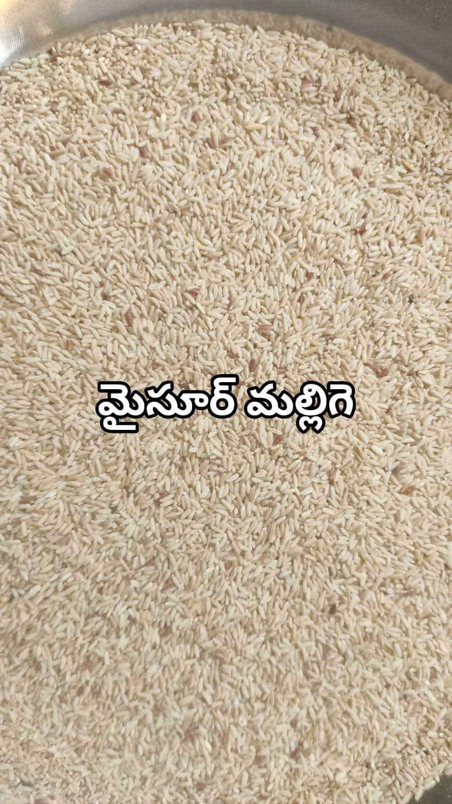 Mysore Malliga