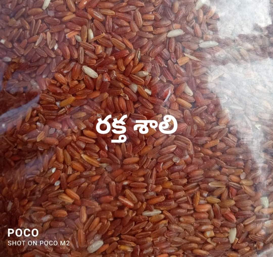 Red Rice