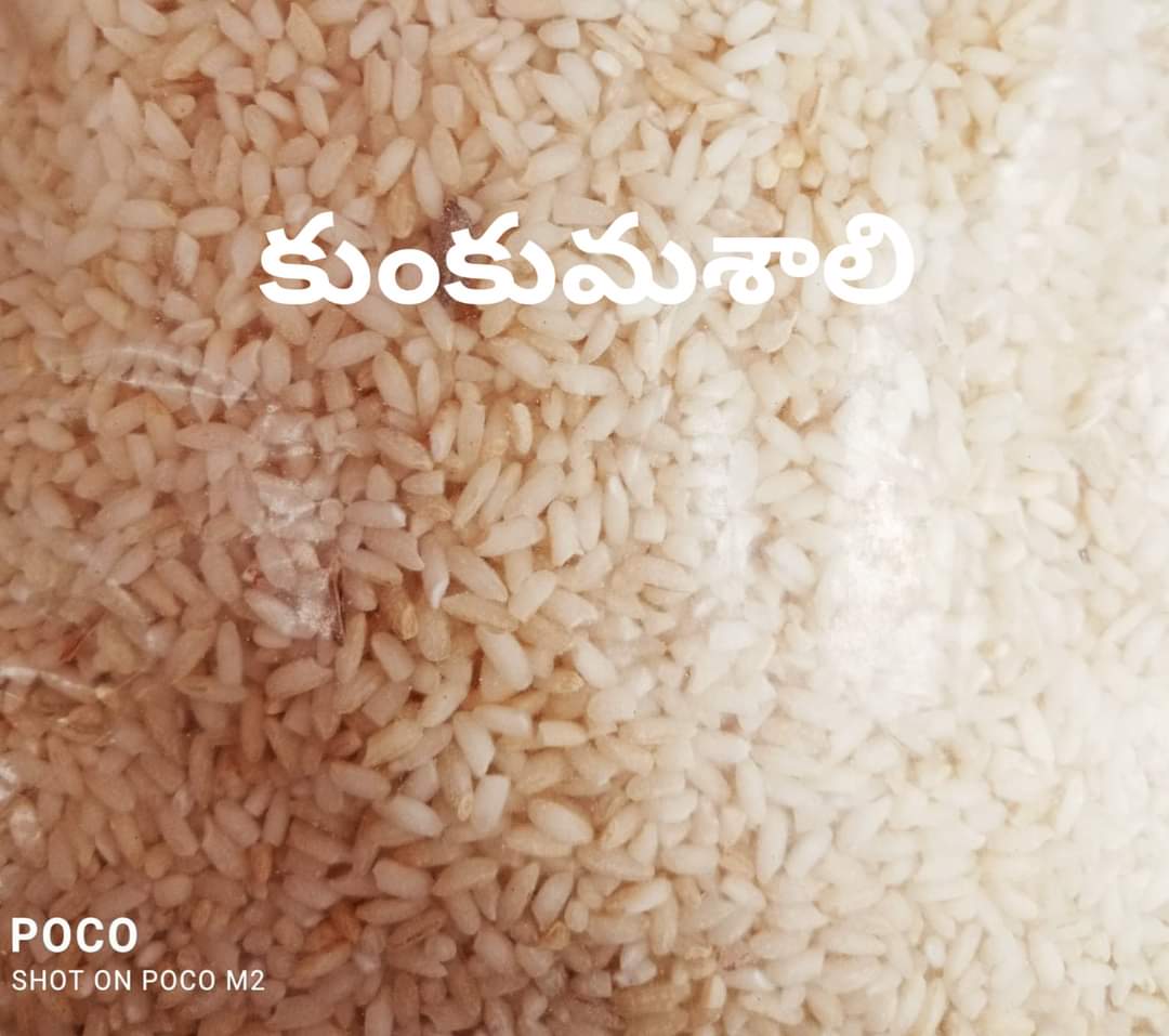 White Rice